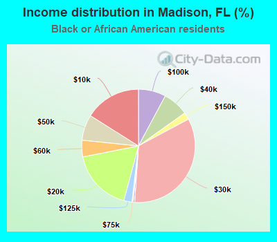 Income distribution in Madison, FL (%)