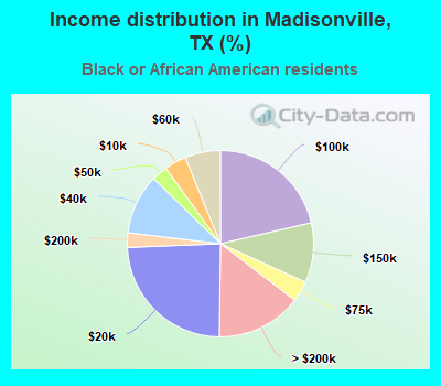 Income distribution in Madisonville, TX (%)