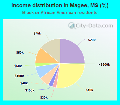 Income distribution in Magee, MS (%)