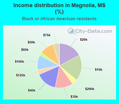Income distribution in Magnolia, MS (%)