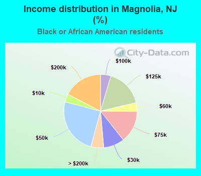 Income distribution in Magnolia, NJ (%)