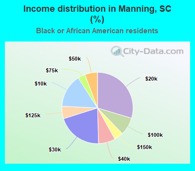 Income distribution in Manning, SC (%)