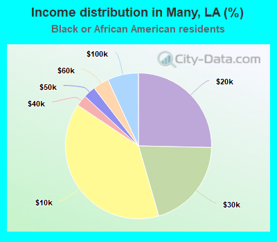 Income distribution in Many, LA (%)