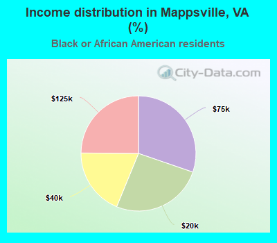 Income distribution in Mappsville, VA (%)