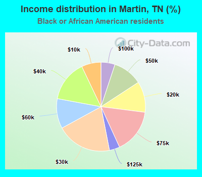 Income distribution in Martin, TN (%)