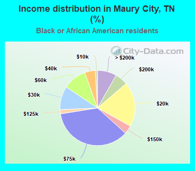 Income distribution in Maury City, TN (%)