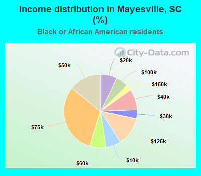 Income distribution in Mayesville, SC (%)