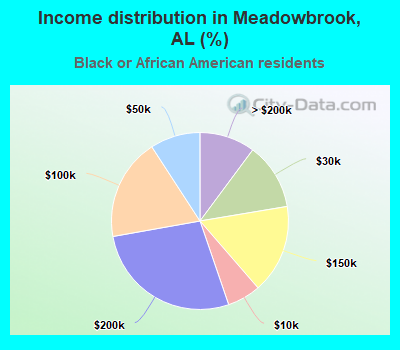 Income distribution in Meadowbrook, AL (%)