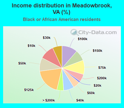 Income distribution in Meadowbrook, VA (%)