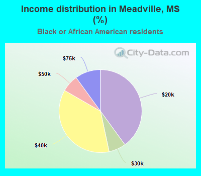 Income distribution in Meadville, MS (%)