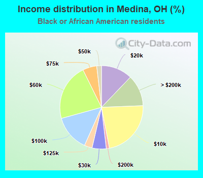 Income distribution in Medina, OH (%)