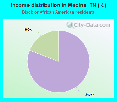 Income distribution in Medina, TN (%)
