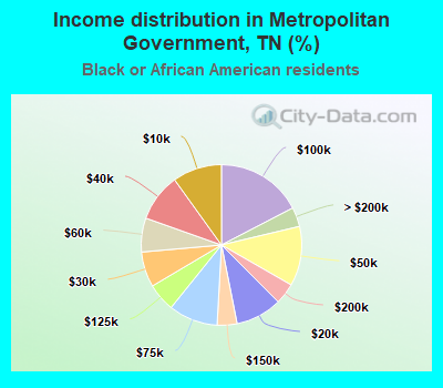 Income distribution in Metropolitan Government, TN (%)