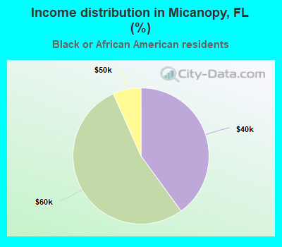 Income distribution in Micanopy, FL (%)