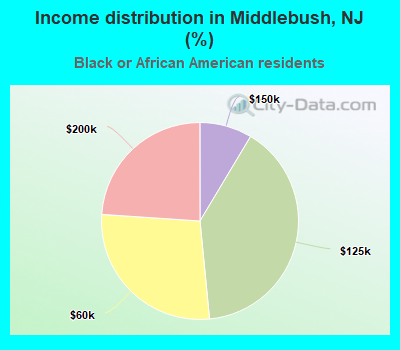 Income distribution in Middlebush, NJ (%)