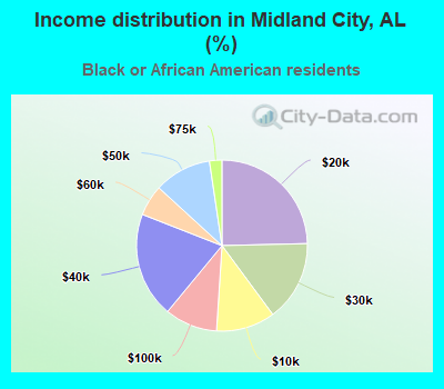 Income distribution in Midland City, AL (%)
