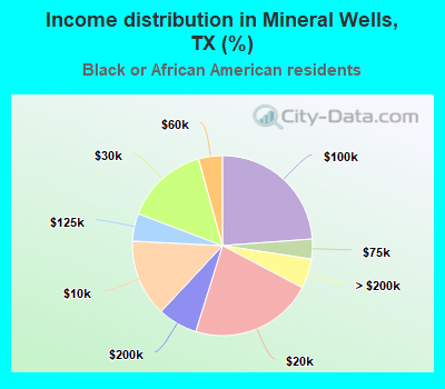 Income distribution in Mineral Wells, TX (%)