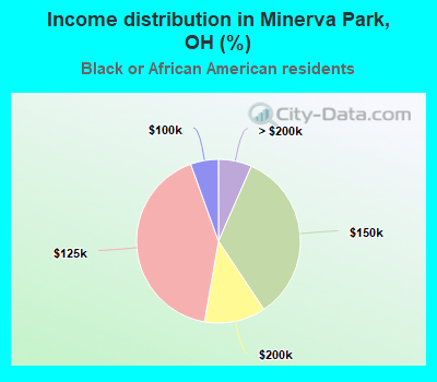 Income distribution in Minerva Park, OH (%)