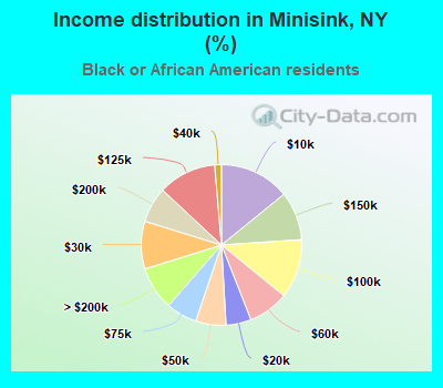Income distribution in Minisink, NY (%)
