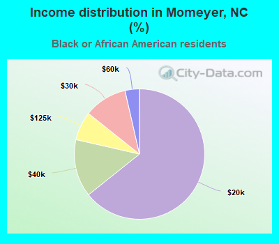 Income distribution in Momeyer, NC (%)