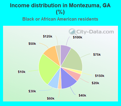 Income distribution in Montezuma, GA (%)