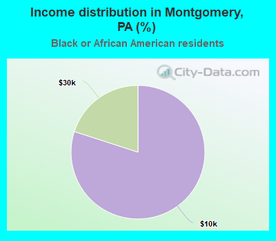 Income distribution in Montgomery, PA (%)