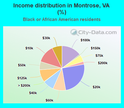 Income distribution in Montrose, VA (%)