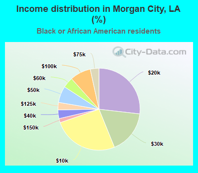 Income distribution in Morgan City, LA (%)