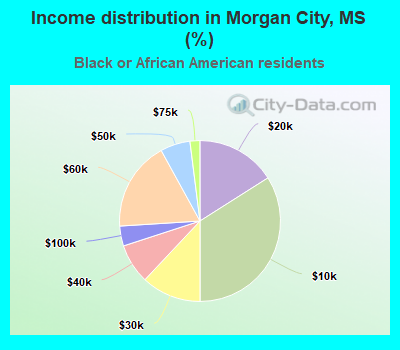 Income distribution in Morgan City, MS (%)