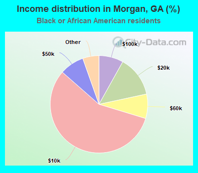 Income distribution in Morgan, GA (%)