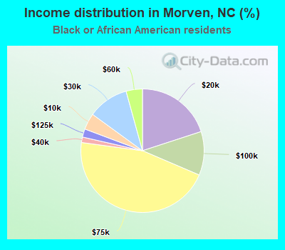 Income distribution in Morven, NC (%)