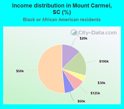Income distribution in Mount Carmel, SC (%)