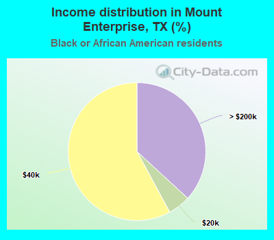 Income distribution in Mount Enterprise, TX (%)