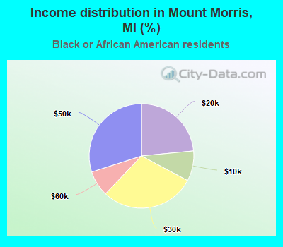 Income distribution in Mount Morris, MI (%)