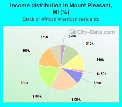 Income distribution in Mount Pleasant, MI (%)