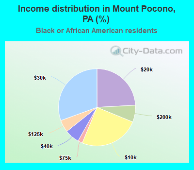 Income distribution in Mount Pocono, PA (%)