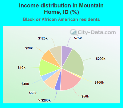 Income distribution in Mountain Home, ID (%)