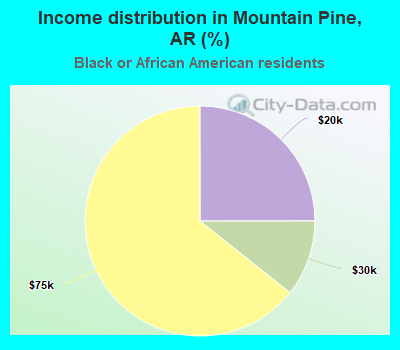 Income distribution in Mountain Pine, AR (%)