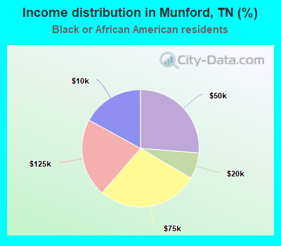 Income distribution in Munford, TN (%)