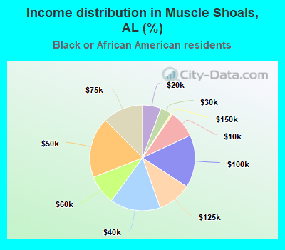 Income distribution in Muscle Shoals, AL (%)