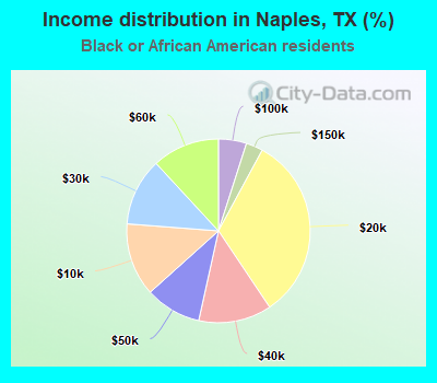 Income distribution in Naples, TX (%)