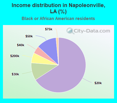 Income distribution in Napoleonville, LA (%)