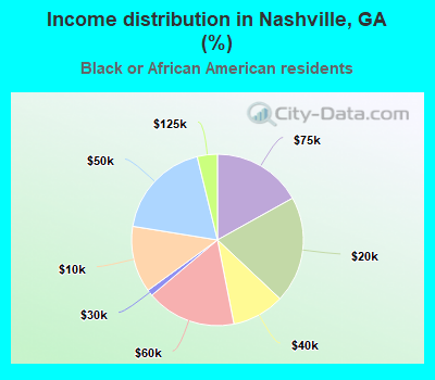 Income distribution in Nashville, GA (%)