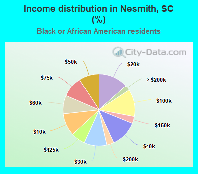 Income distribution in Nesmith, SC (%)