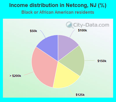 Income distribution in Netcong, NJ (%)