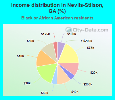 Income distribution in Nevils-Stilson, GA (%)