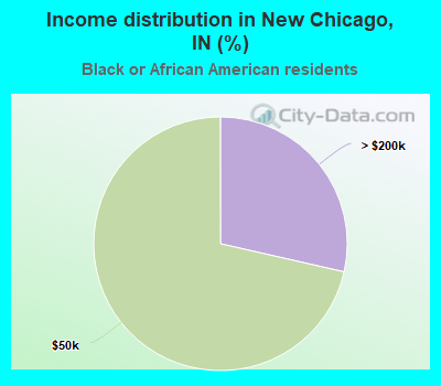 Income distribution in New Chicago, IN (%)