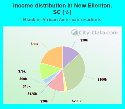 Income distribution in New Ellenton, SC (%)