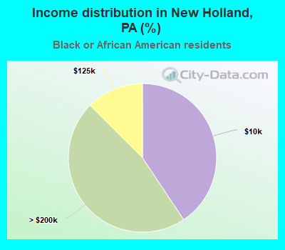 Income distribution in New Holland, PA (%)