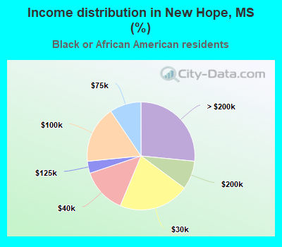 Income distribution in New Hope, MS (%)